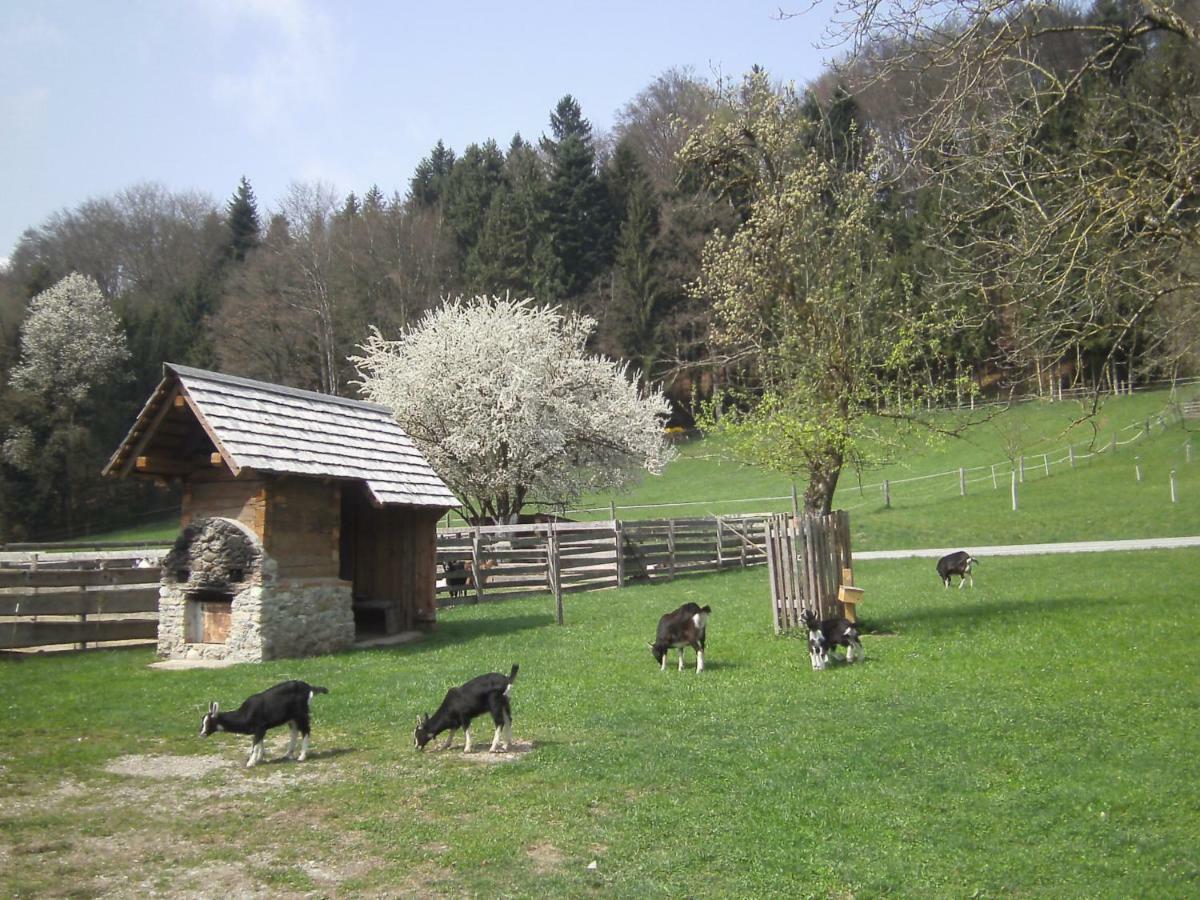 Bauernhof Kaspergut * Kirchberg bei Mattighofen